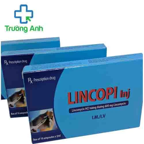 Lincopi Inj - Thuốc điều trị nhiễm khuẩn hiệu quả