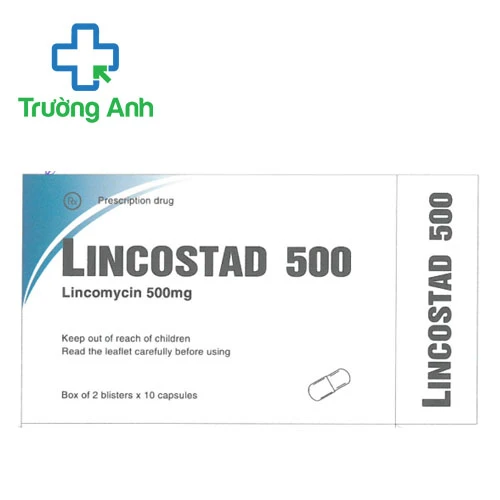 Lincostad 500 Pymepharco - Thuốc điều trị nhiễm khuẩn hiệu quả