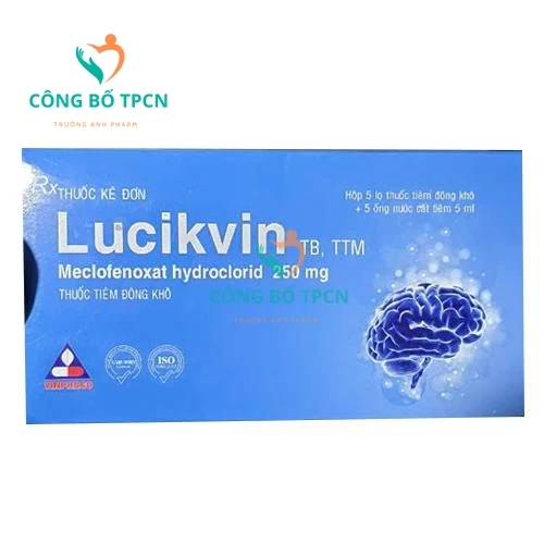 Lucikvin 250mg Vinphaco - Thuốc điều trị xơ vữa động mạch