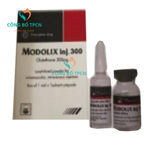 Modolix inj 300 Pymepharco - Thuốc giảm độc tính trên hệ thần kinh