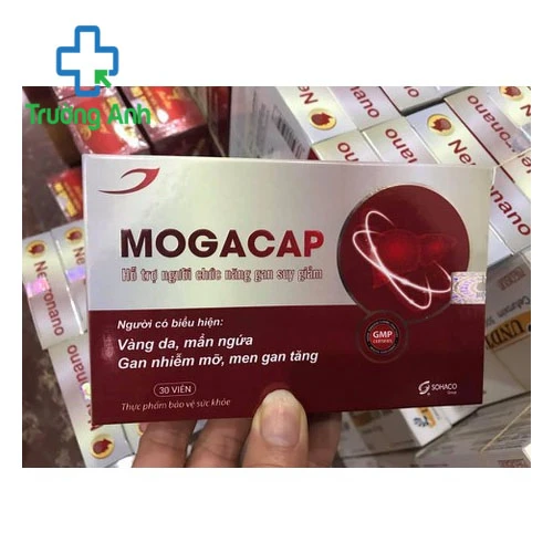 Mogacap - Hỗ trợ người chức năng suy giảm hiệu quả