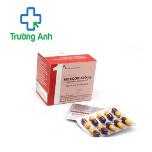 Moxcor-500mg - Thuốc điều trị nhiễm khuẩn hiệu quả