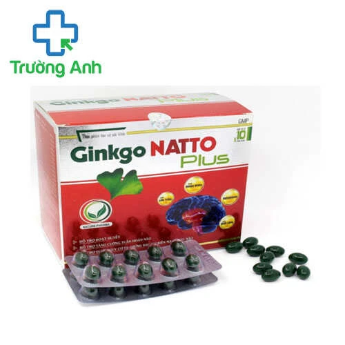 Ginkgo Natto Plus - Hỗ trợ tăng cường tuần hoàn máu não