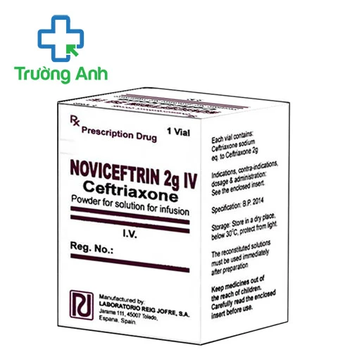 Noviceftrin 2g IV - Thuốc điều trị nhiễm khuẩn hiệu quả