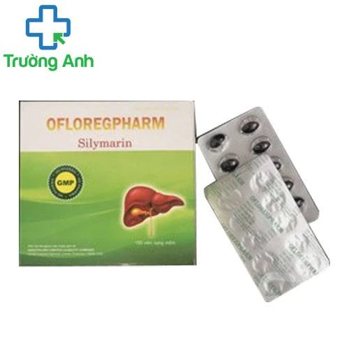 Ofloregpham - Hỗ trợ giảm tác hại của bia rượu đối với gan