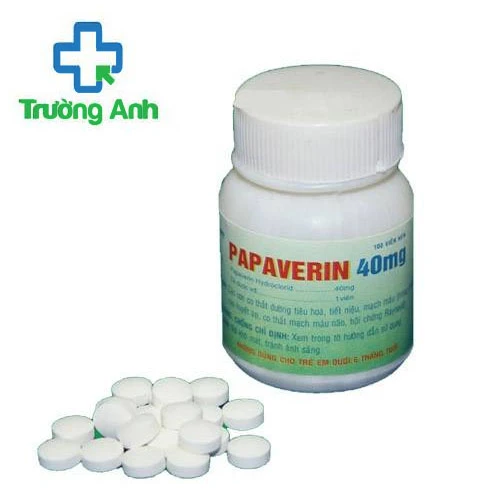 Papaverin 40mg Armephaco - Thuốc chống co thắt cơ trơn hiệu quả 