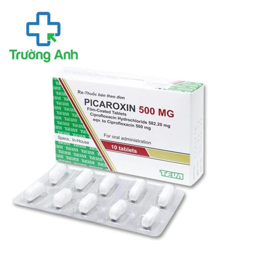 Picaroxin 500mg - Thuốc điều trị nhiễm khuẩn hiệu quả