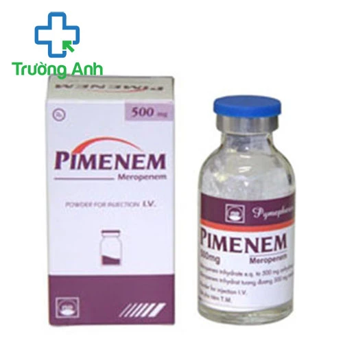 Pimenem 500mg Pymepharco - Thuốc điều trị nhiễm khuẩn hiệu quả