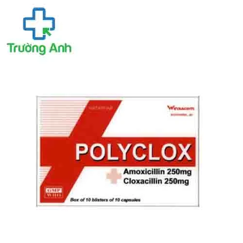 Polyclox 250mg/250mg Hataphar - Thuốc điều trị nhiễm khuẩn hiệu quả