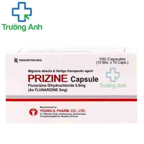 Prizine - Thuốc điều trị chóng mặt, thiểu năng tuần hoàn não