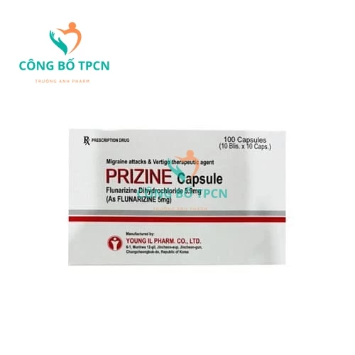 Prizine - Thuốc điều trị chóng mặt, thiểu năng tuần hoàn não