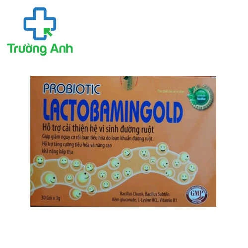 Probiotic Lactobamingold - Giúp hỗ trợ tăng cường tiêu hóa