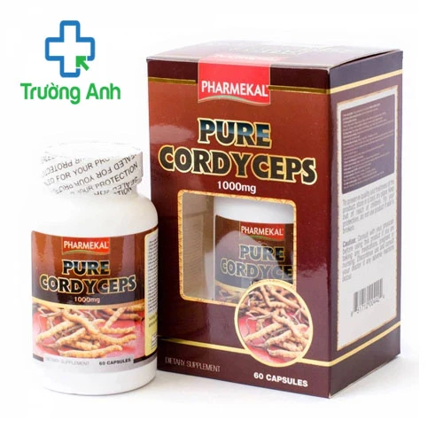 PURE CORDYCEPS - Hỗ trợ điều trị các bệnh về phổi, tim, gan