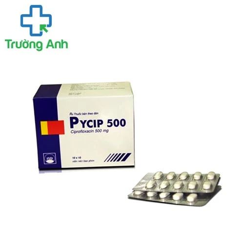 Pycip 500mg Pymepharco - Điều trị nhiễm khuẩn hệ tiết niệu