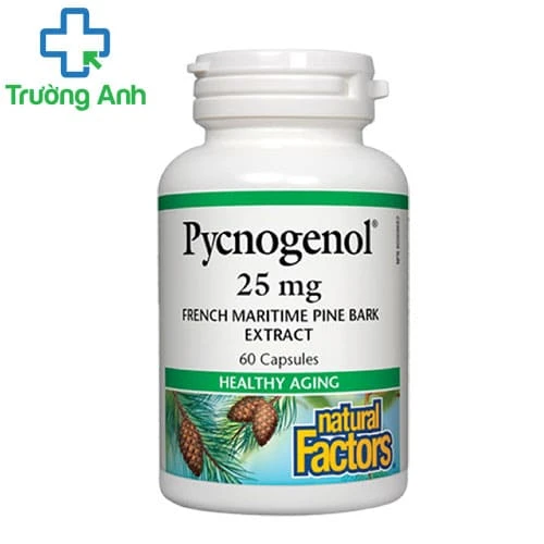 Pycnogenol - Hỗ trợ chống oxy hóa và duy trì sức khỏe cơ thể