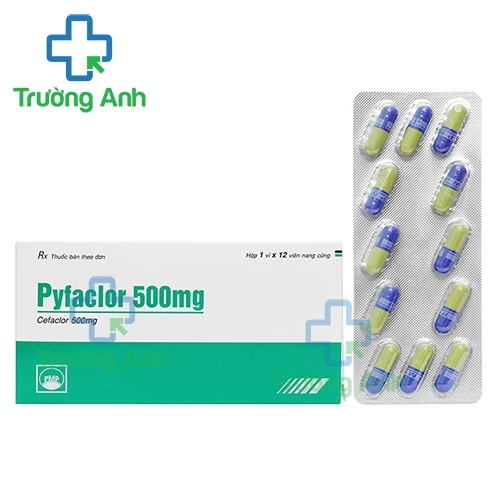 Pyfaclor 500mg Pymepharco - Thuốc điều trị nhiễm khuẩn 