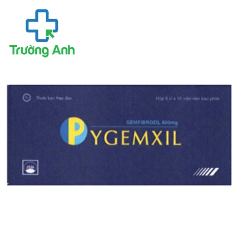 Pygemxil 600mg Pymepharco - Thuốc điều trị mỡ máu hiệu quả