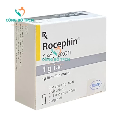 Rocephin 1g I.V.