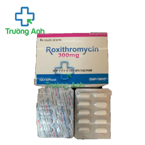 Roxithromycin 300mg Hataphar - Thuốc điều trị nhiễm khuẩn hiệu quả