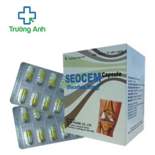 Seocem Capsule - Thuốc điều trị các bệnh viêm xương, khớp