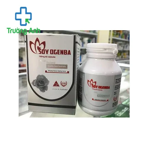 Soy Ogenba - Tăng cường trí nhớ, giảm căng thẳng