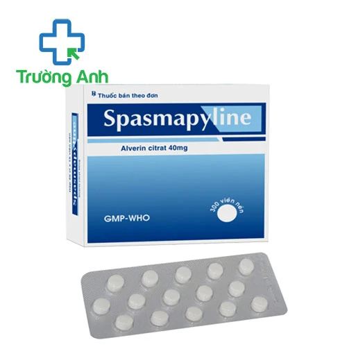 Spasmapyline 40mg Tipharco - Thuốc chống đau do co thắt cơ trơn