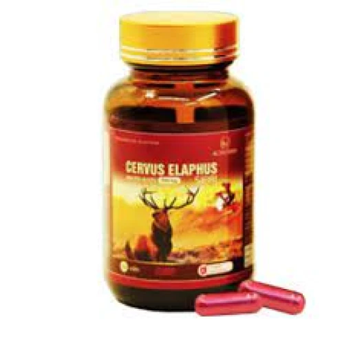 Cervus Elaphus Sibiri - Thực phẩm chức năng bổ thận tăng sinh lý