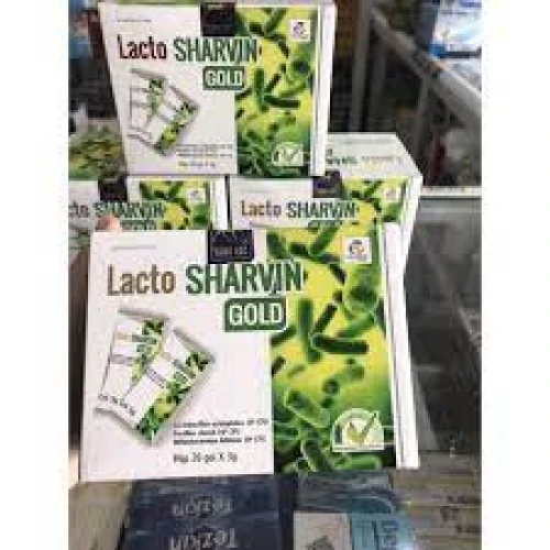 Lacto Sharvin Gold - Thực phẩm chức năng tăng cường hệ vi sinh