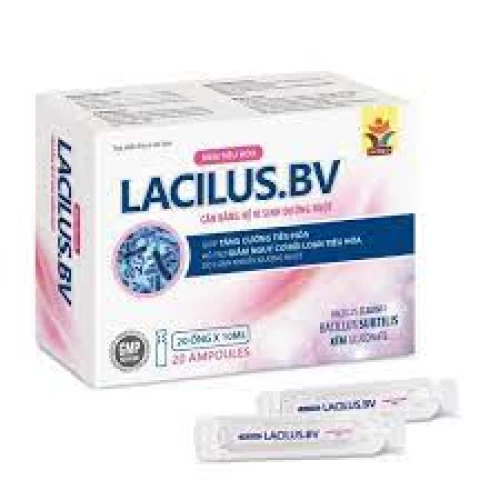 Men tiêu hóa Lacilus.Bv - Thực phẩm chức năng hỗ trợ tiêu hóa