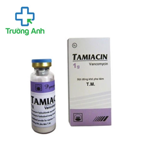 Tamiacin 1g Pymepharco - Thuốc điều trị nhiễm trùng nặng hiệu quả