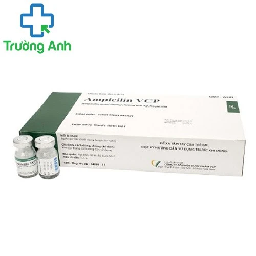 Ampicilin 1g VCP - Thuốc điều trị các bệnh nhiễm khuẩn hiệu quả