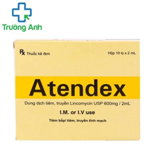 Atendex 600mg/2ml - Thuốc điều trị các bệnh nhiễm khuẩn nặng