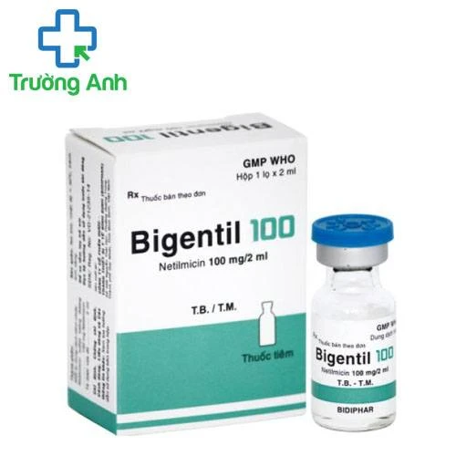 Bigentil 100 Bidiphar - Thuốc điều trị bệnh nhiễm khuẩn hiệu quả