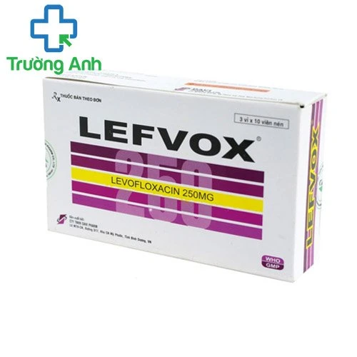 Lefvox 250mg - Thuốc điều trị nhiễm khuẩn hiệu quả của Davipharm