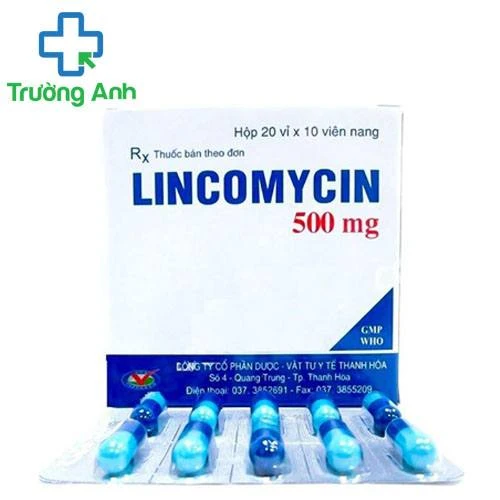 Lincomycin 500mg Thephaco - Thuốc điều trị bệnh nhiễm khuẩn