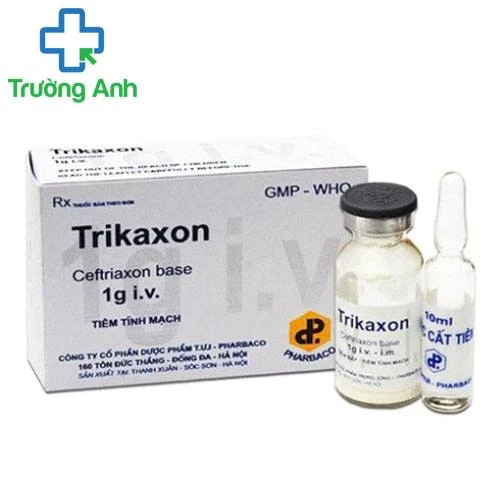 Trikaxon 1g - Thuốc điều trị nhiễm khuẩn hiệu quả của Pharbaco