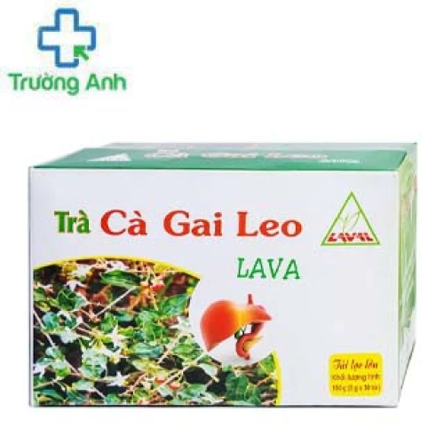Trà Cà Gai Leo Lava - Bảo vệ phục hồi tế bào gan, hạ men gan