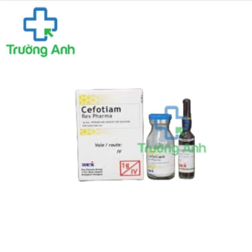 Cefotiam 1g VCP - Thuốc điều trị nhiễm khuẩn