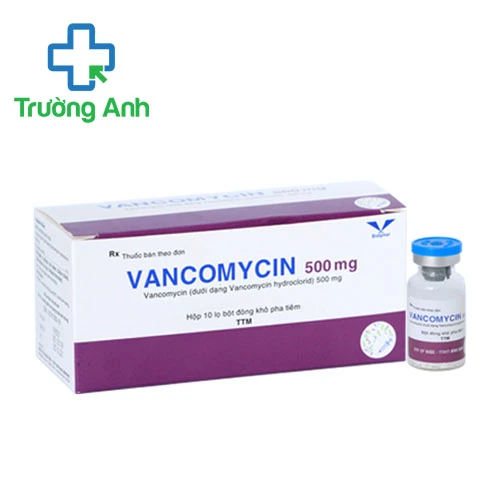 Vancomycin 500mg Bidiphar - Thuốc điều trị nhiễm khuẩn nặng hiệu quả