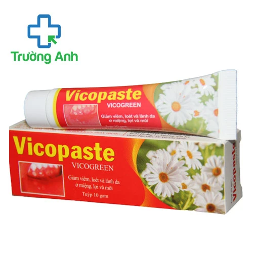 Vicopaste 10g  Bibopharma - Gel bôi giúp ngừa sâu răng hiệu quả 