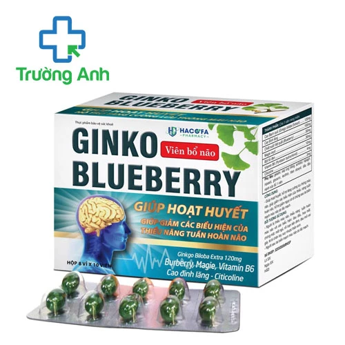 Viên bổ não Ginko Blueberry – Hỗ trợ tăng cường tuần hoàn não