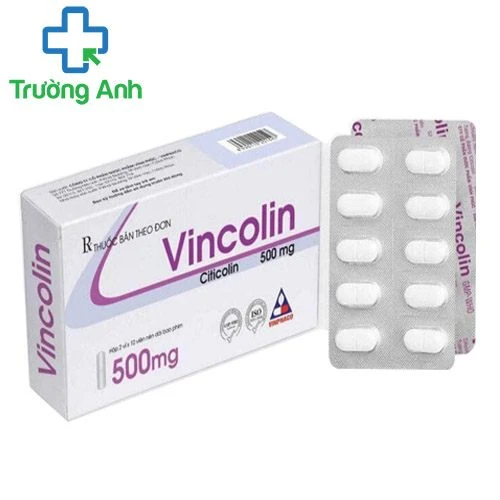 Vincolin 500mg (viên) - Thuốc điều trị bệnh thần kinh hiệu quả