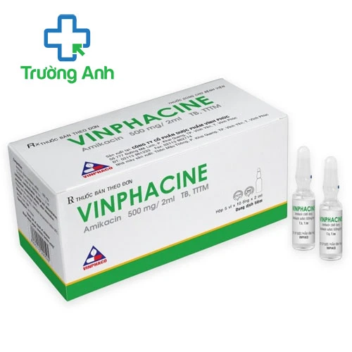 Vinphacine 500mg/2ml Vinphaco - Thuốc điều trị nhiễm khuẩn hiệu quả