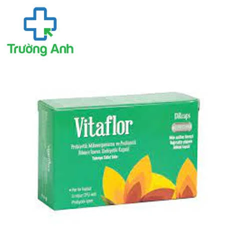 Vitaflor (Viên nang chứa lợi khuẩn Probiotic và Prebiotic)