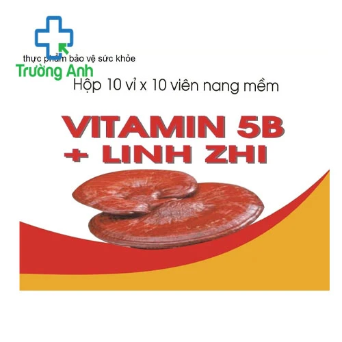 VITAMIN 5B + LINHZHI - Giúp bổ sung các vitamin nhóm B