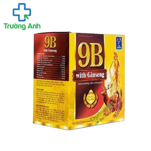 VITAMIN 9B PLUS - Giúp bồi bổ sức khỏe, kích thích tiêu hóa