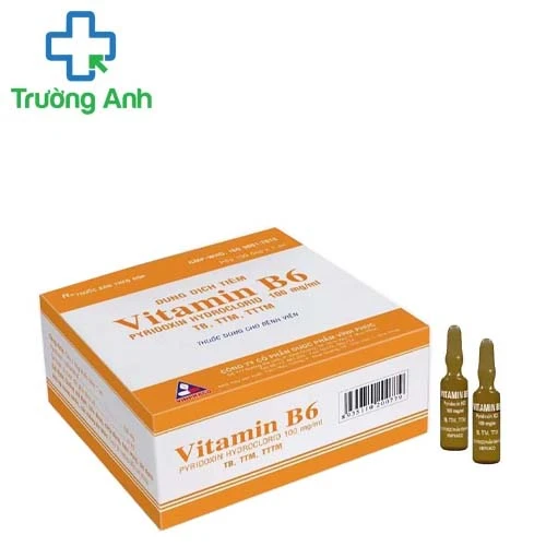 Vitamin B6 100mg/1ml Vinphaco - Điều trị bệnh Parkinson