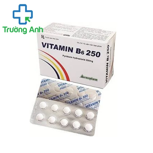 Vitamin B6 250 Vacopharm - Điều trị chứng thiếu máu