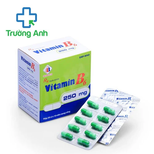 Vitamin B6 250mg Domesco - Thuốc điều trị thiếu hụt vitamin B6 hiệu quả