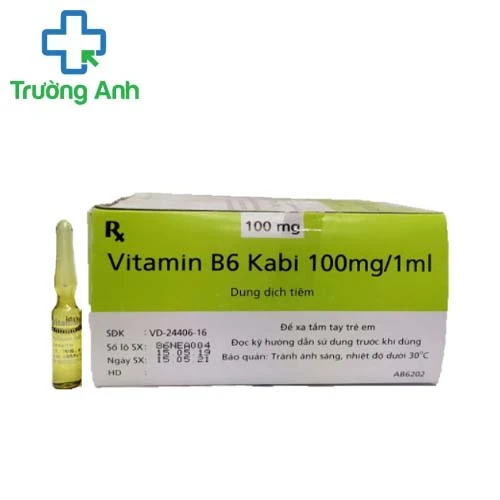 Vitamin B6 Kabi 100mg/1ml - Điều trị thiếu vitamin B6 hiệu quả